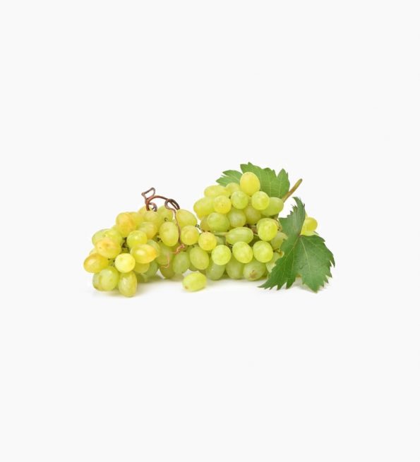 seedless-white-grape
