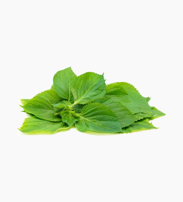 shiso-leaves-green-4