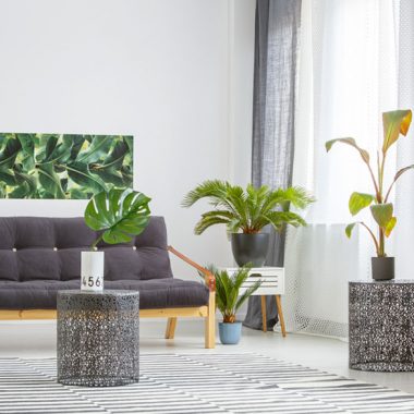 Five Summer Plant Care Tips and Tricks